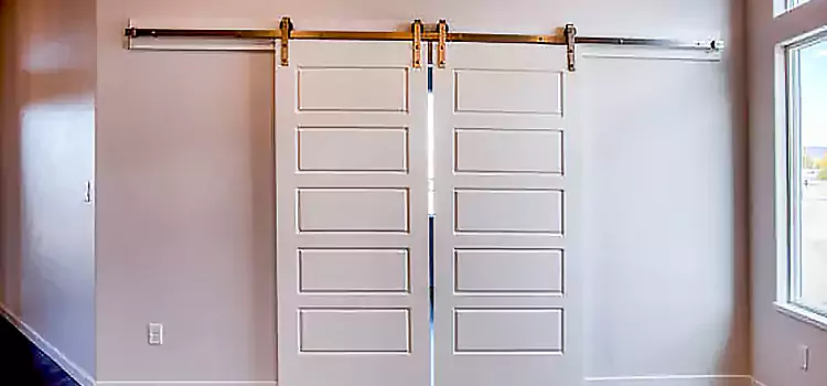 Glass Barn Door with Installation Hardware Kit Garfield